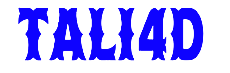TALI4D Logo